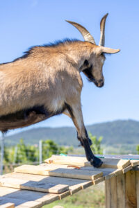 Landfamilie Trenk_20250920104531-4