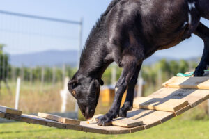 Landfamilie Trenk_20250920104642-6