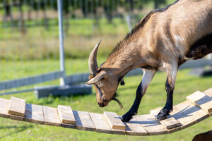 Landfamilie Trenk_20250920104826-4